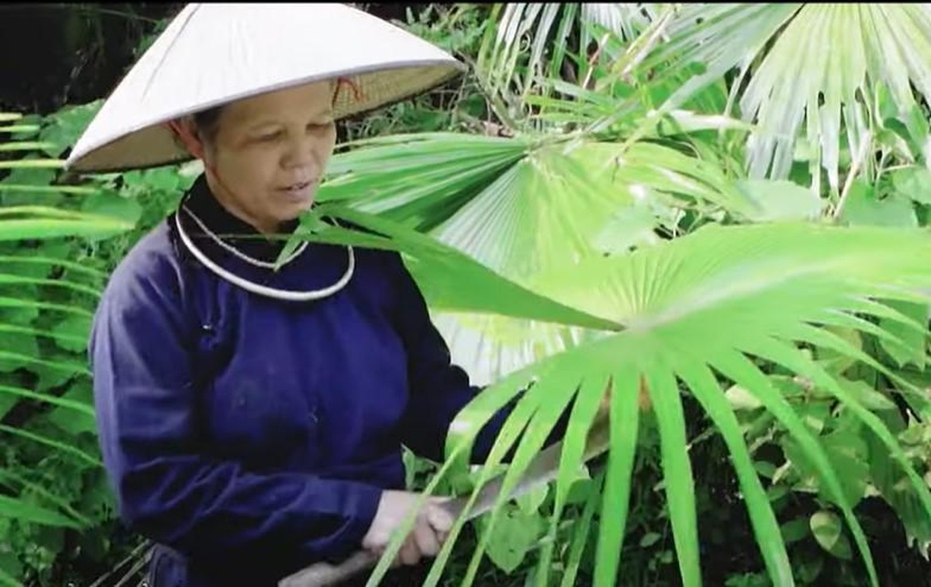 Nón lá cọ người Tày - Không chỉ là vật che mưa nắng - 7