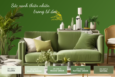 Bộ sưu tập màu sắc xu hướng 2025 của JYMEC: Sắc xanh thiên nhiên trong tổ ấm