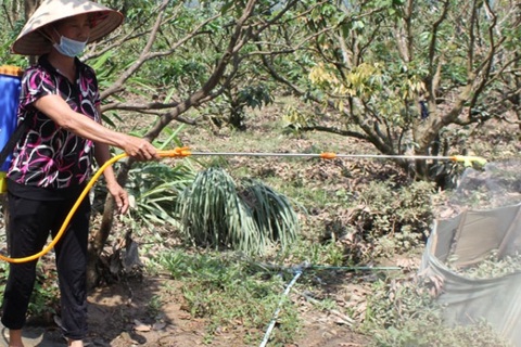 TP Bắc Giang có nhiều ca sốt xuất huyết nhất tỉnh