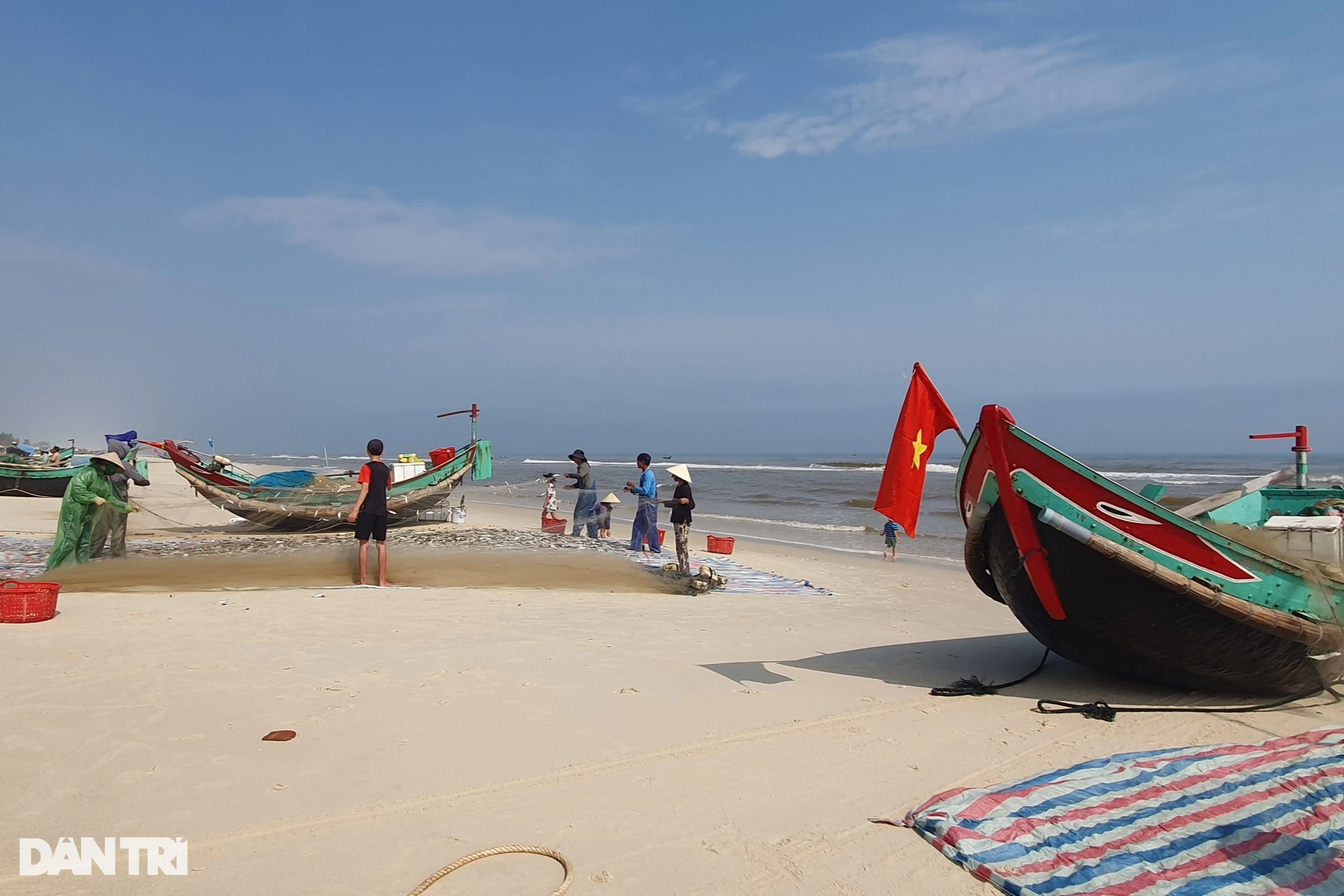 Trúng đậm cá trích, ngư dân bãi ngang thu tiền triệu mỗi ngày - 1