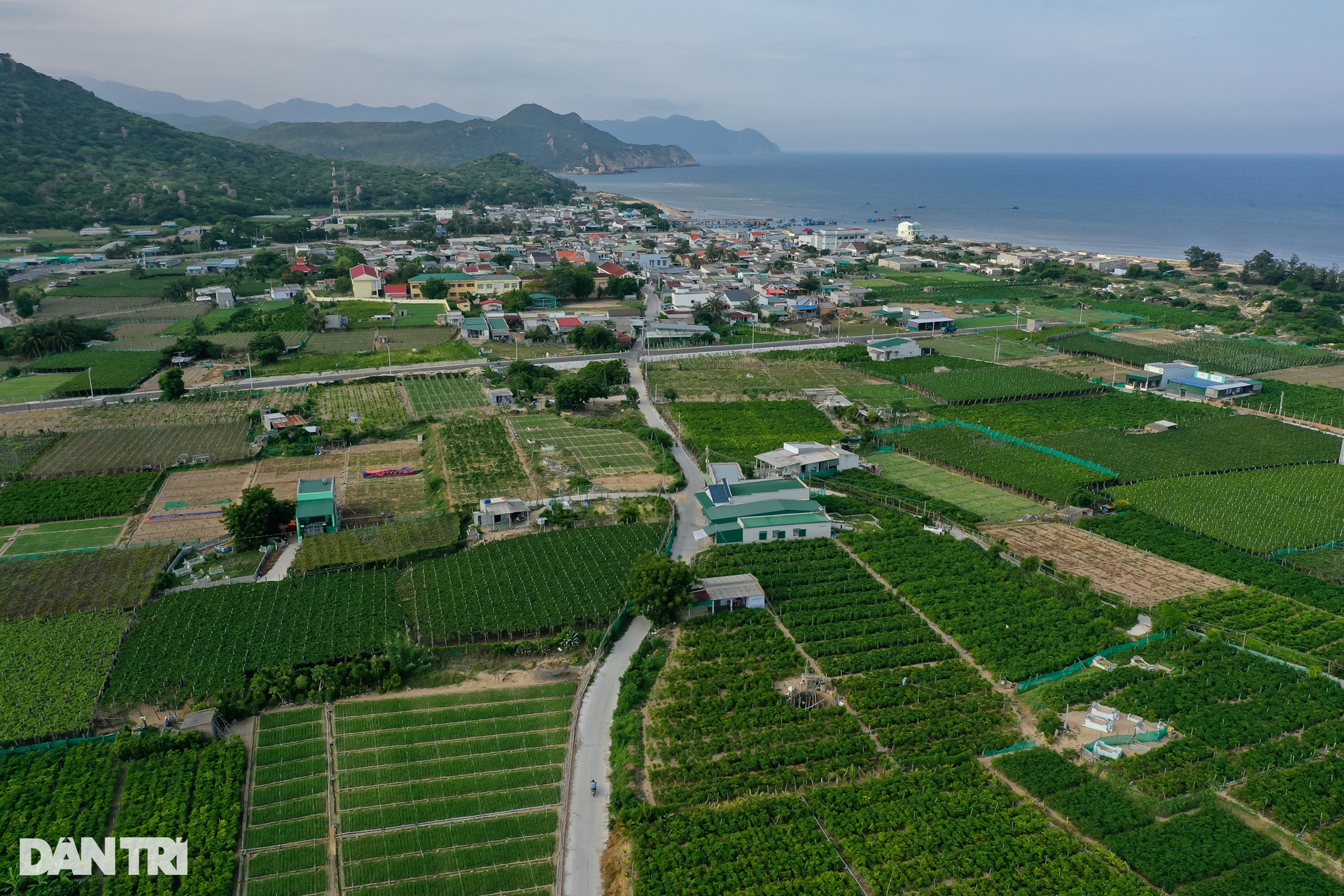 Hai làng ven biển Ninh Thuận sau nửa năm nghị quyết khởi động điện hạt nhân - 10