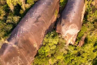 "Cá voi khủng" nằm giữa rừng rậm