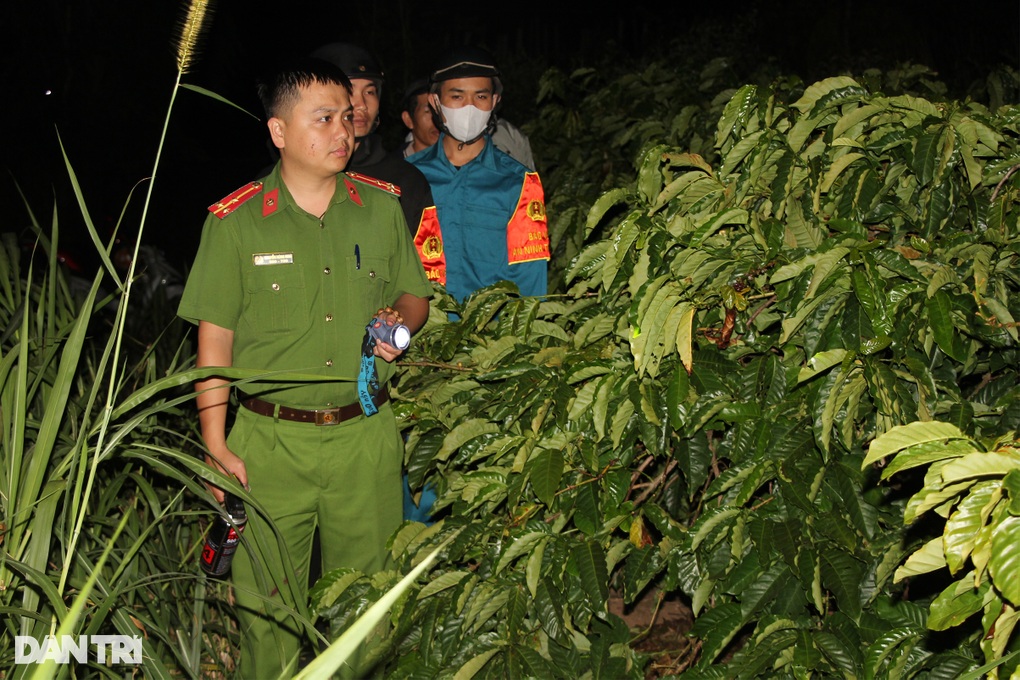 Công an trắng đêm cùng nông dân tuần tra, ngăn chặn nạn trộm cà phê - 2