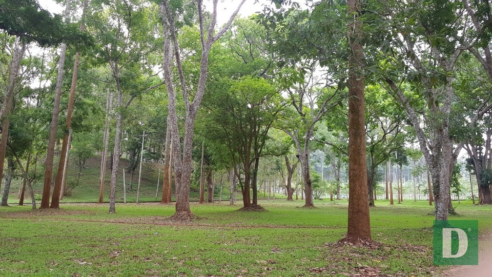 Đà Lạt miền Đông bị lãng quên - 1