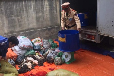 Hơn nửa tấn thịt, nội tạng trâu bò bốc mùi hôi thối trên đường đi tiêu thụ