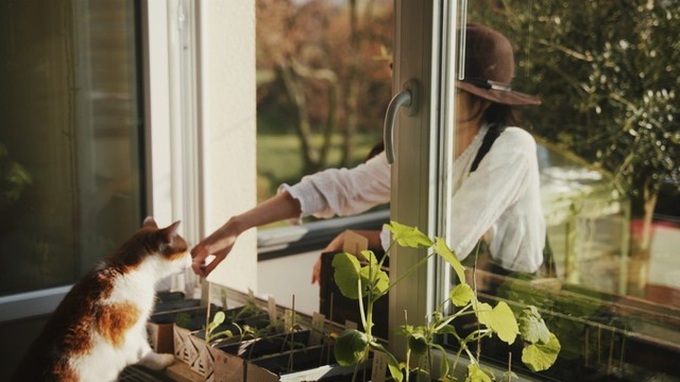Mảnh vườn nhỏ mà có võ: Mẹ Việt ở Đức biến hoá ban công chỉ 8 mét vuông thành góc nhỏ đáp ứng 50% nhu cầu bữa ăn gia đình - Ảnh 2. Mảnh vườn nhỏ mà có võ: Mẹ Việt ở Đức biến hoá ban công chỉ 8 mét vuông thành góc nhỏ đáp ứng 50% nhu cầu bữa ăn gia đình - Ảnh 2.