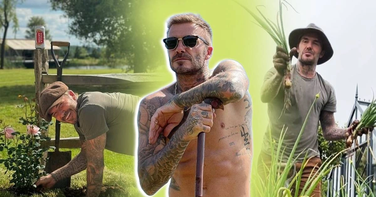 David Beckham và cuộc sống "chữa lành" trên điền trang đắt giá