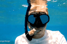 Nhầm tưởng là chỗ trú ẩn, bạch tuộc chui tọt vào miệng du khách