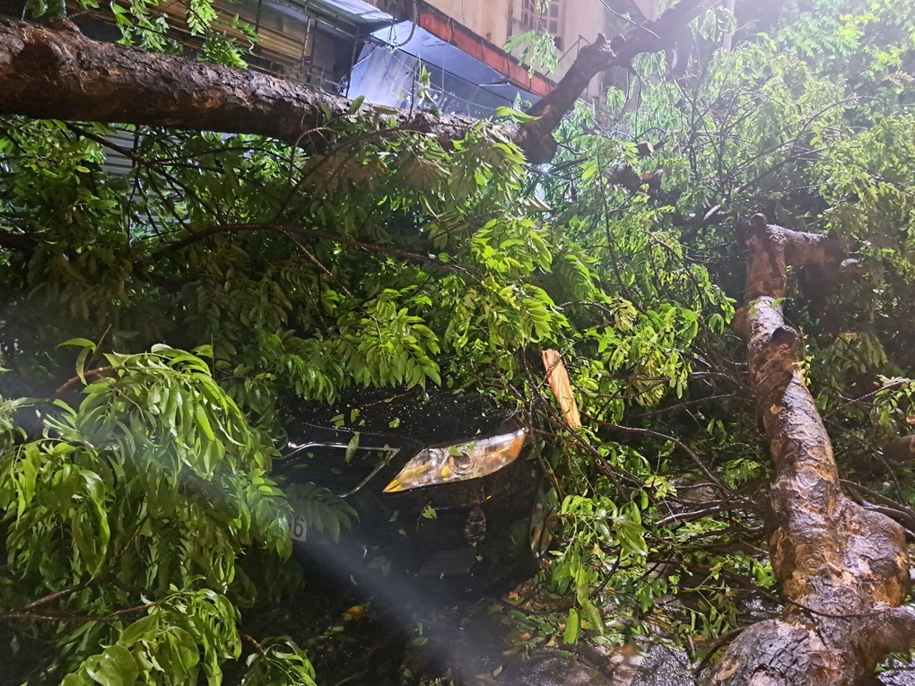Cây đổ sau trận dông lốc ở Hà Nội, đè trúng 2 xe sang trên phố - 2 Cây đổ sau trận dông lốc ở Hà Nội, đè trúng 2 xe sang trên phố - 2