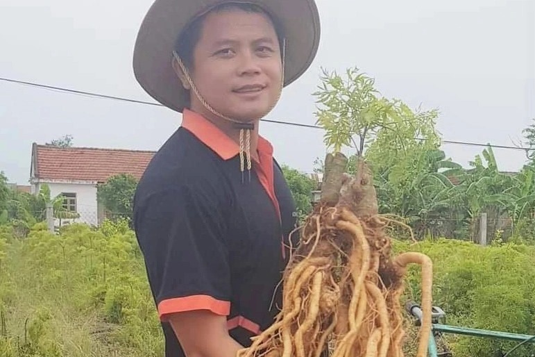 Làm mứt từ nhân sâm người nghèo bán mỏi tay ngày giáp Tết - 1 Làm mứt từ nhân sâm người nghèo bán mỏi tay ngày giáp Tết - 1