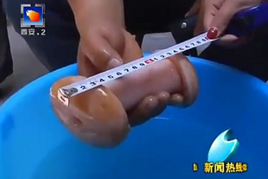 Nhà đài nhầm đồ chơi tình dục là …nấm lạ