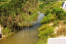 Kinh hãi phát hiện nam thanh niên nằm chết dưới kênh