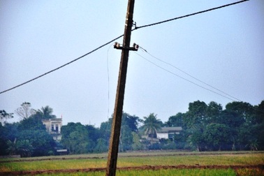 Một người tử vong gần đường dây điện bị đứt