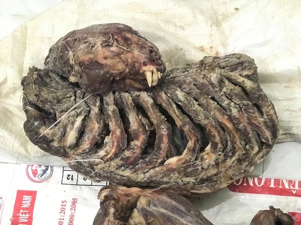 Bắt vụ đánh bạc, phát hiện chủ lò nấu cao chúa sơn lâm - 2 Bắt vụ đánh bạc, phát hiện chủ lò nấu cao chúa sơn lâm - 2