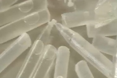 Lo ngại về thuốc kích thích giá đỗ không rõ nguồn gốc