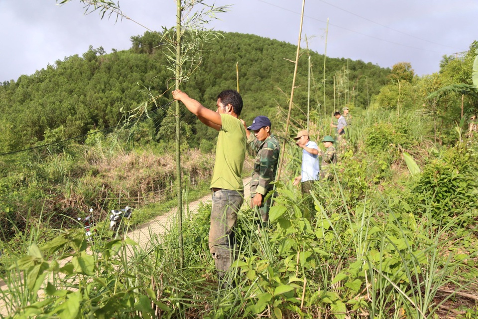 Giăng lưới cao 6m ngăn voọc xuống đường tấn công người - 2 Giăng lưới cao 6m ngăn voọc xuống đường tấn công người - 2