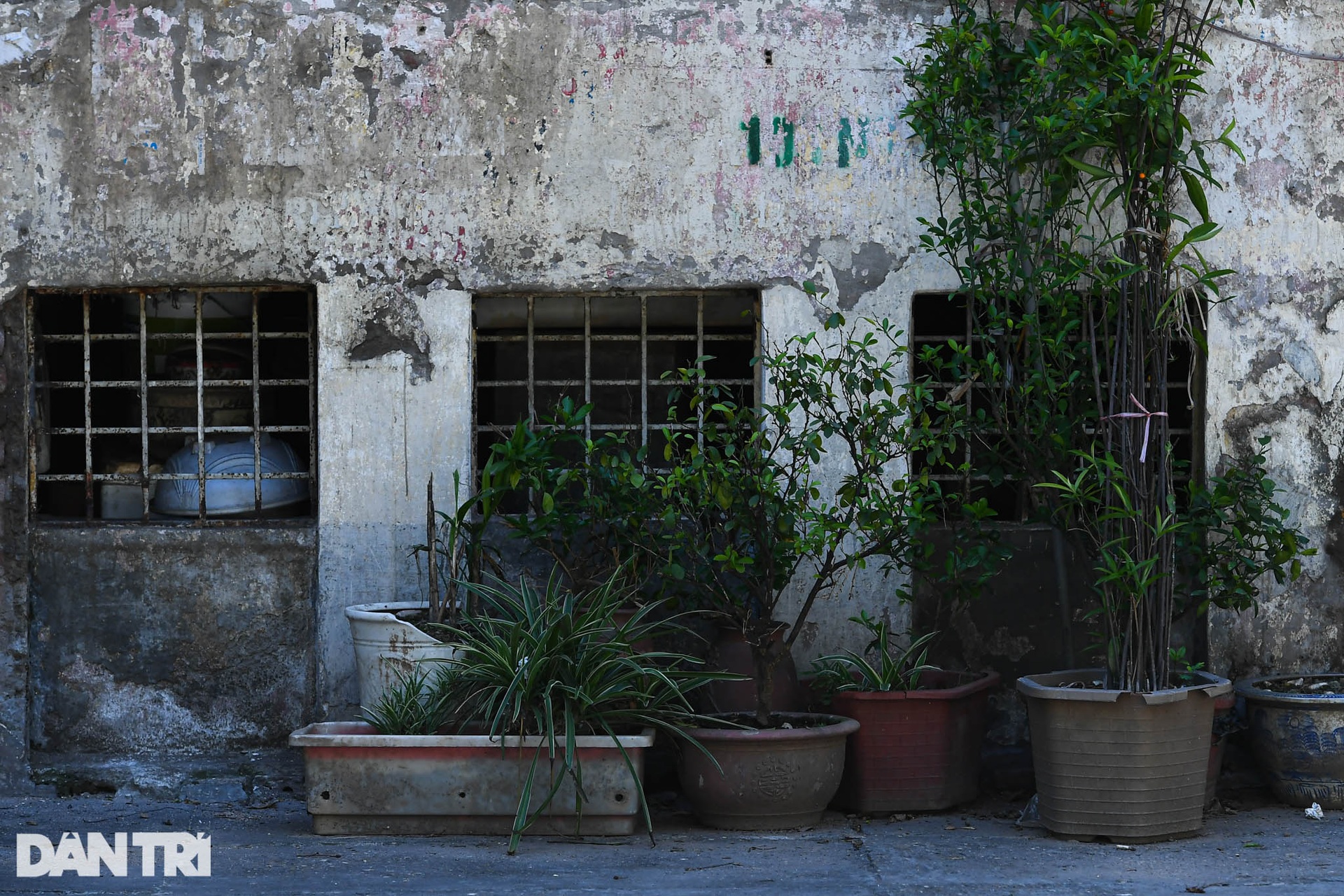 Nhà biến thành hầm ẩm thấp, dột nát tại chung cư tập thể cũ Hà Nội - 8 Nhà biến thành hầm ẩm thấp, dột nát tại chung cư tập thể cũ Hà Nội - 8