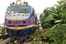 Mưa to gió lớn tại Thừa Thiên Huế, nhiều nhà tốc mái, cây to gãy đổ