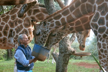 Thi thể nhiếp ảnh gia nổi tiếng được tìm thấy trong rừng