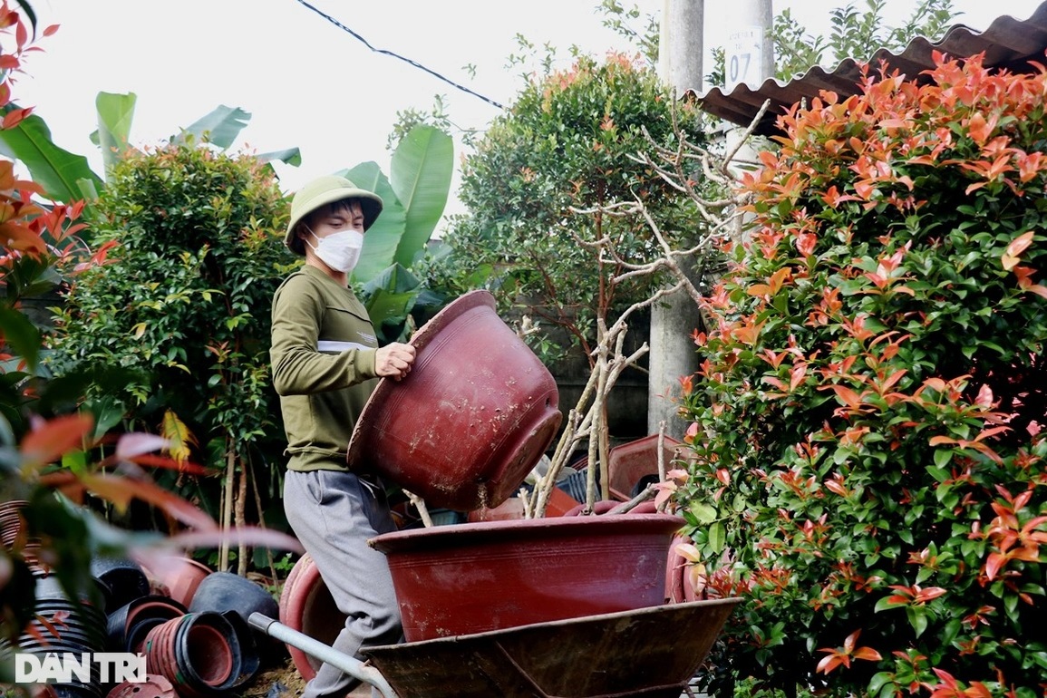 Các vườn cây cảnh chạy nước rút phục vụ dịp mua sắm sôi động nhất năm - 10 Các vườn cây cảnh chạy nước rút phục vụ dịp mua sắm sôi động nhất năm - 10