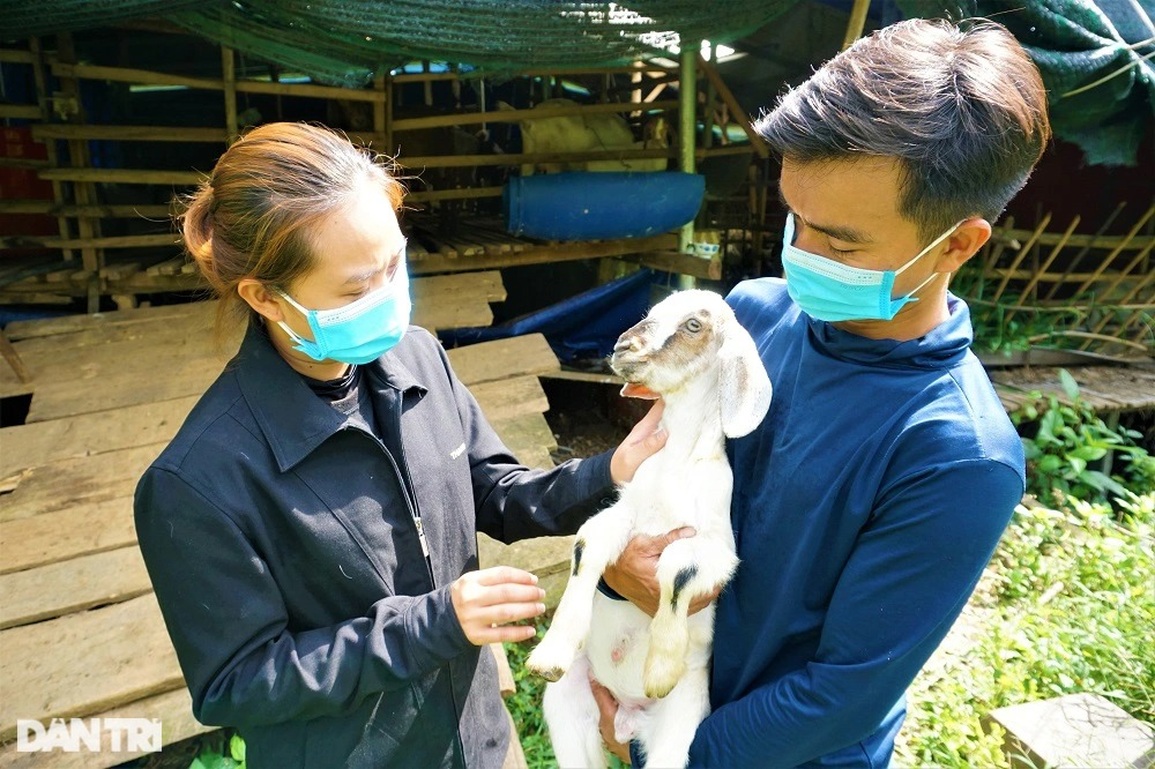 Bỏ việc lương 30 triệu đồng mỗi tháng, kỹ sư về quê nuôi dê, làm giàu - 8 Bỏ việc lương 30 triệu đồng mỗi tháng, kỹ sư về quê nuôi dê, làm giàu - 8