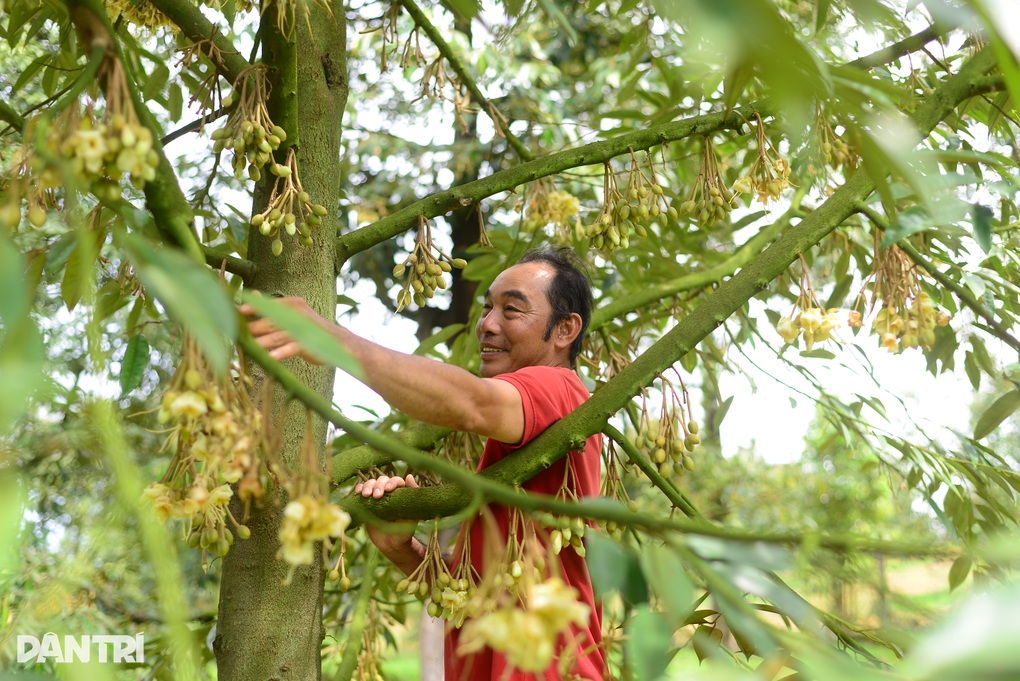 Câu lạc bộ quy tụ những nông dân tỷ phú ở Lâm Đồng - 1