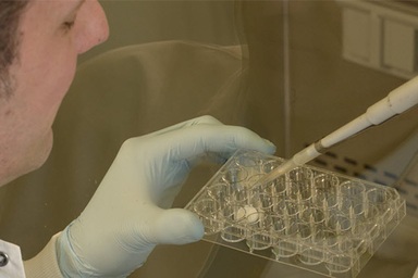 Liệu pháp tế bào miễn dịch hiệu quả trên điều trị ung thư máu ra sao?