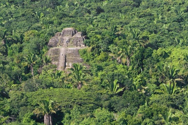 Người Maya cổ đại có thể đã làm thay đổi khí hậu từ hàng ngàn năm trước