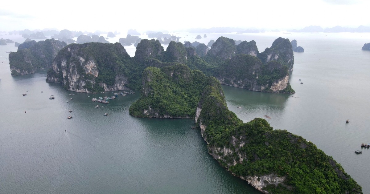 Du khách nước ngoài tử vong khi đang ăn trên tàu du lịch ở Hạ Long