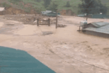 Yên Bái: Nước lũ ngập gần tới nóc nhà dân, gây sạt lở, tàn phá hoa màu