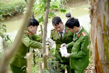 Kẻ cuồng yêu chuyên nổ mìn cưỡng hôn gái trẻ