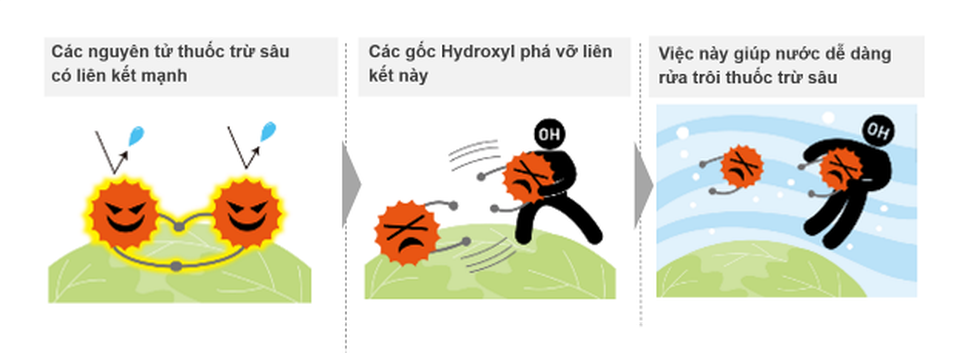 Tủ lạnh biết detox thực phẩm - 2 Tủ lạnh biết detox thực phẩm - 2