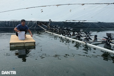 Đào tạo nghề cho lao động nông thôn: Hàng nghìn lao động có cơ hội việc làm