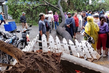 Chủ tịch Đà Nẵng kêu gọi người dân khắc phục hậu quả mưa bão đón APEC