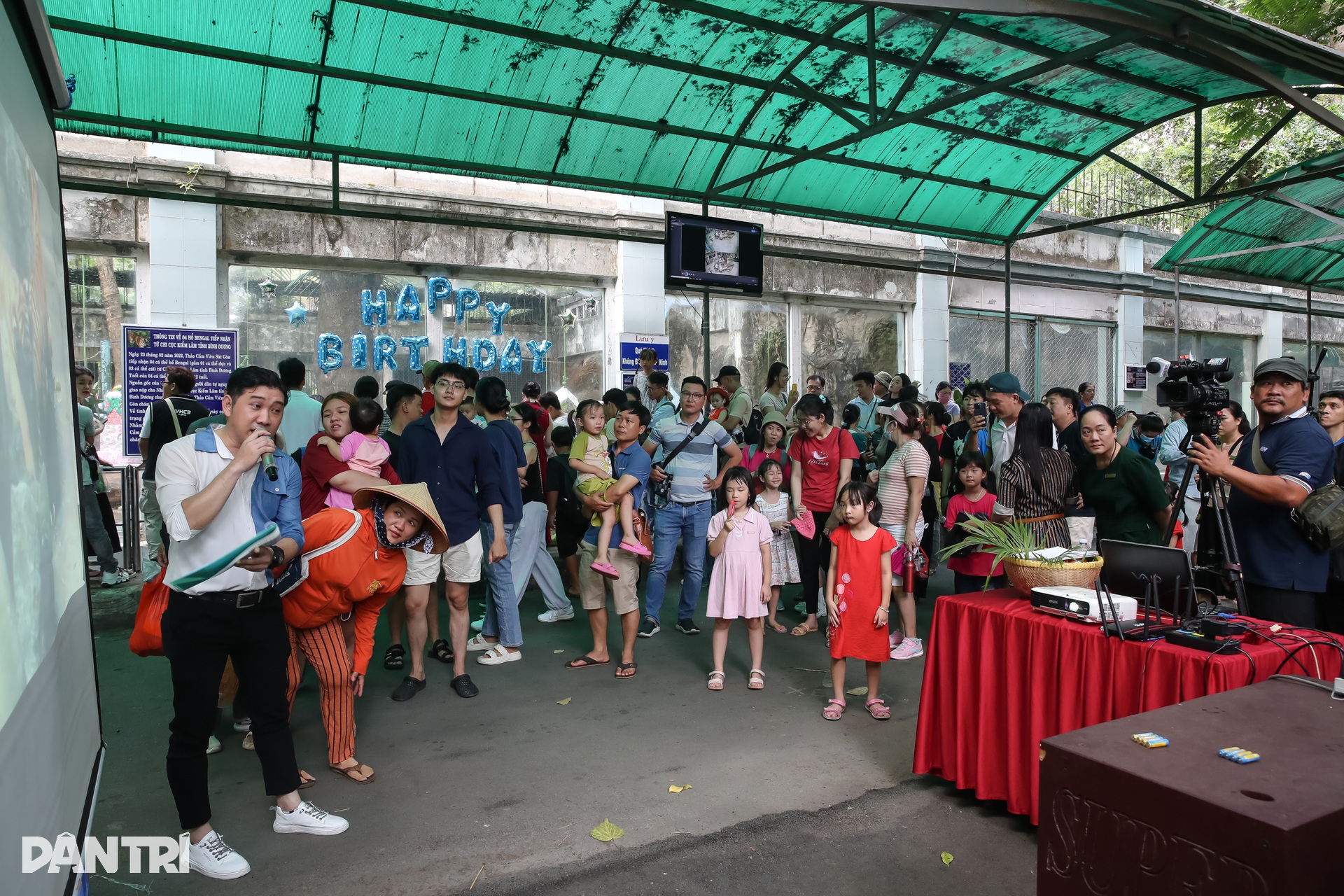 Người dân bất ngờ về buổi lễ sinh nhật của đôi hổ ở TPHCM - 3 Người dân bất ngờ về buổi lễ sinh nhật của đôi hổ ở TPHCM - 3