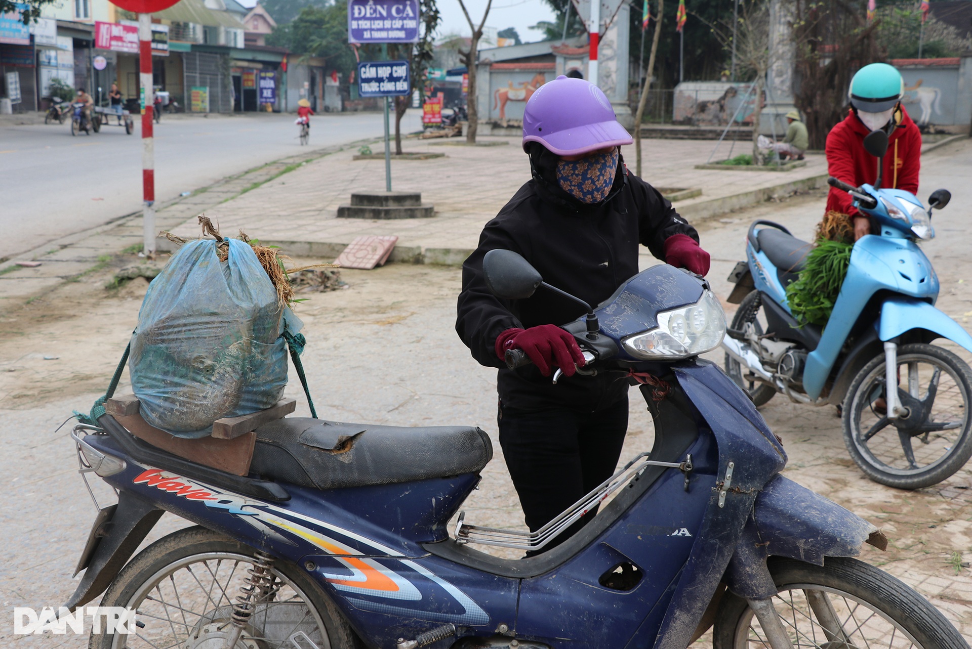 Nông dân hồ hởi nhổ lúa non bán, vớ bẫm - 11 Nông dân hồ hởi nhổ lúa non bán, vớ bẫm - 11