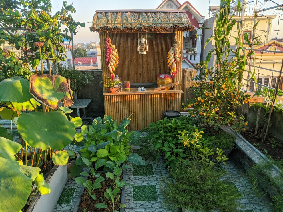 Khu vườn treo 100m2 tươi tốt như rừng nhiệt đới của gia đình Hải Phòng - 4 Khu vườn treo 100m2 tươi tốt như rừng nhiệt đới của gia đình Hải Phòng - 4