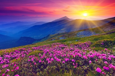 Lạc bước tới “thiên đường hoa” trong dãy Himalaya