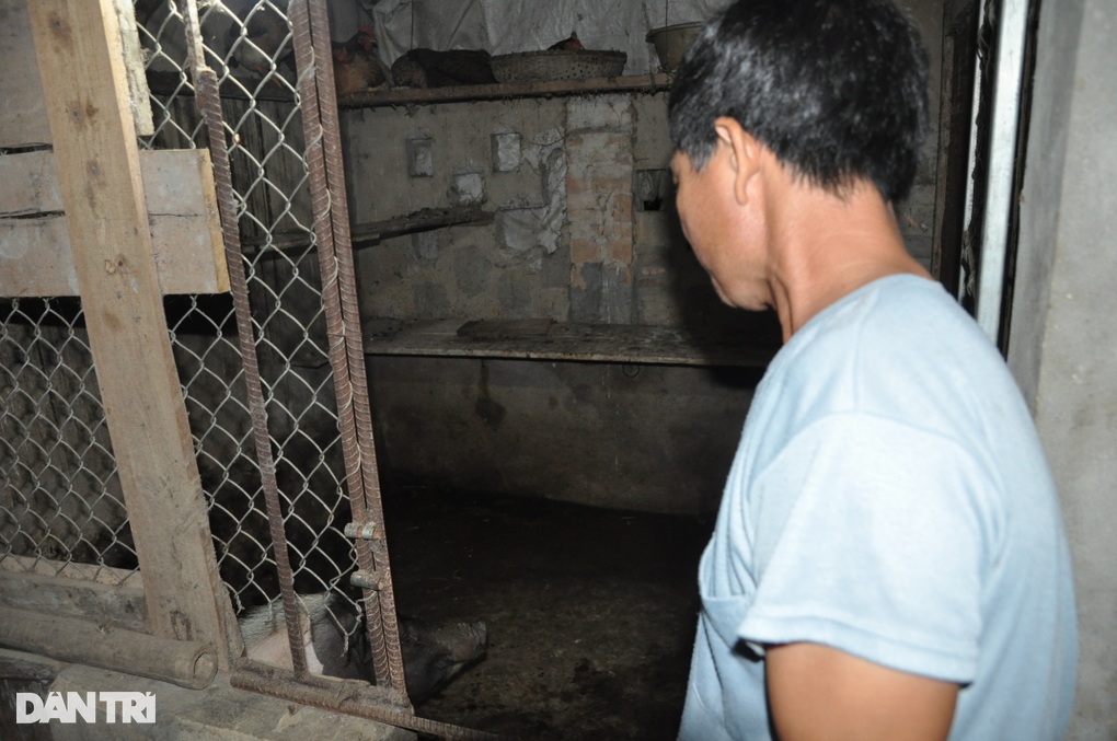 Chồng ngóng bán đàn lợn đỏ hỏn, lấy tiền cho vợ đi chạy thận - 3 Chồng ngóng bán đàn lợn đỏ hỏn, lấy tiền cho vợ đi chạy thận - 3