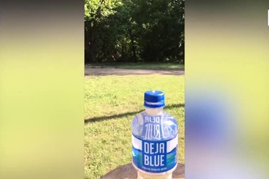 29 lần lập Kỷ lục Guinness Thế giới của "bậc thầy"... dùng roi