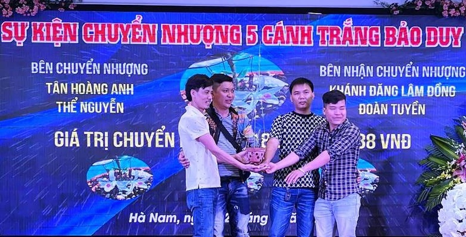 Xôn xao thông tin lan Bảo Duy 5 cánh trắng được bán với giá gần 19 tỷ đồng - 2 Xôn xao thông tin lan Bảo Duy 5 cánh trắng được bán với giá gần 19 tỷ đồng - 2