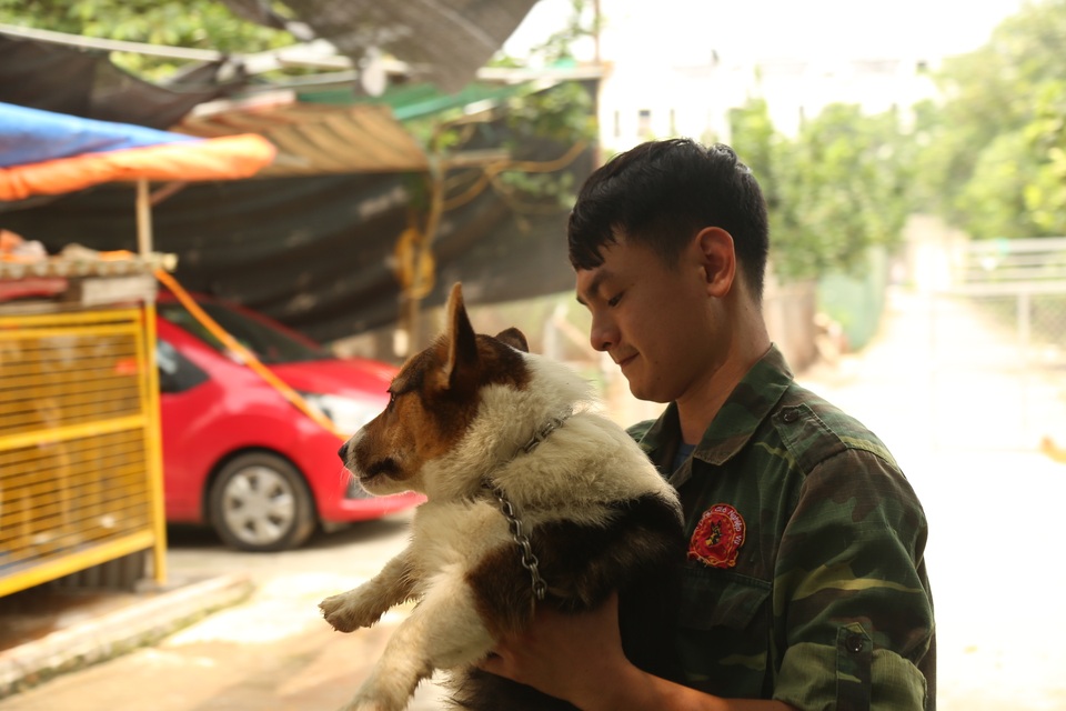 Hà Nội: Thu nhập 20-30 triệu đồng/tháng từ nghề huấn luyện chó - 5 Hà Nội: Thu nhập 20-30 triệu đồng/tháng từ nghề huấn luyện chó - 5