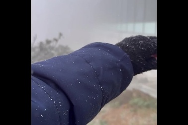 Tuyết rơi phủ trắng cây cỏ ở Lào Cai, du khách hào hứng giơ tay vợt tuyết