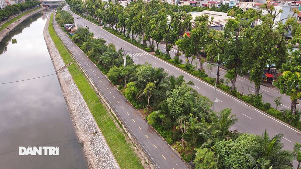 Đánh chuyển hơn 700 cây xanh dọc sông Tô Lịch để làm dự án thoát nước thải - 1 Đánh chuyển hơn 700 cây xanh dọc sông Tô Lịch để làm dự án thoát nước thải - 1