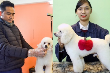 Bỏ tiền triệu cho cún cưng đi... spa “làm đẹp” đón Tết