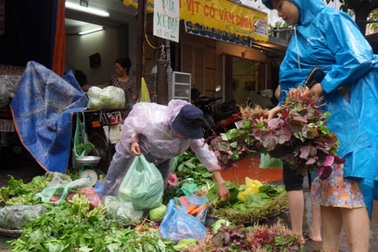Rau xanh lại “đội” giá 
