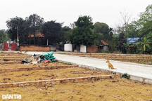 Diễn biến thị trường đất nền Hà Nội sau khi việc tách thửa được "cởi trói"