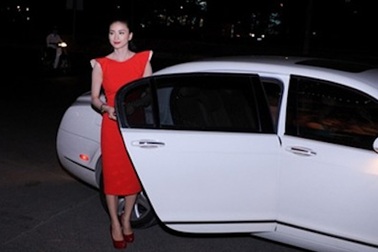 Ngô Thanh Vân muốn im lặng trước scandal dùng biển số giả