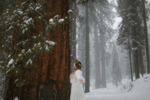 Công viên sở hữu những cây hàng nghìn năm tuổi, to nhất thế giới