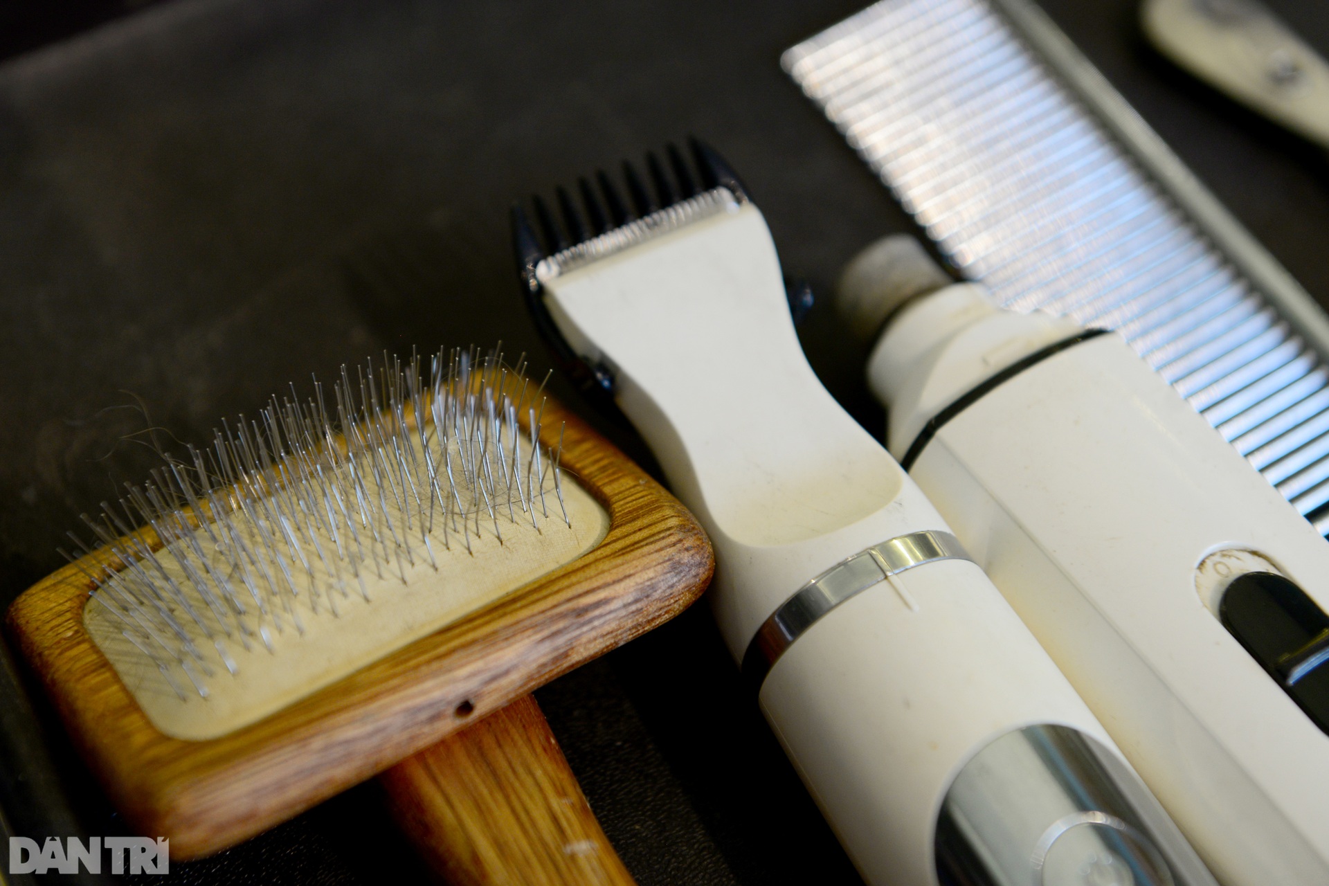 Đắt khách dịch vụ làm đẹp cho thú cưng tại nhà ở TPHCM mùa Covid-19 - 4 Đắt khách dịch vụ làm đẹp cho thú cưng tại nhà ở TPHCM mùa Covid-19 - 4